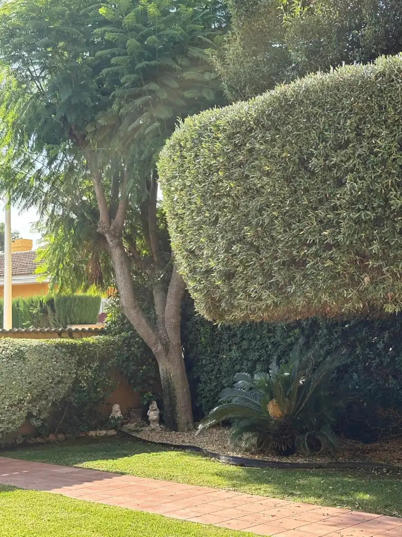 Haus oder Chalet zur Miete in Riba-roja de Túria, Valencia