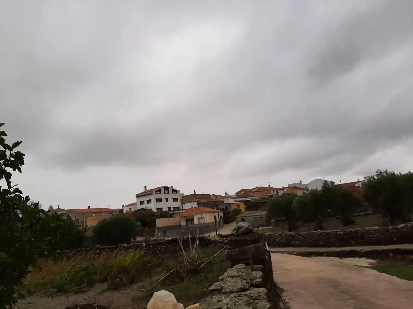 Country homes for sale in Botija