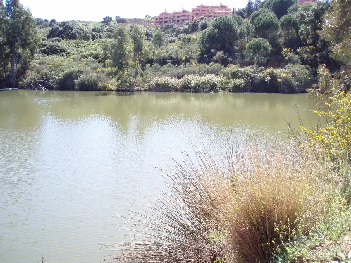 Jardí de Residencial en venda en Mijas