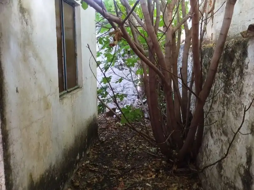 Casa o chalet en venta en Torreperogil