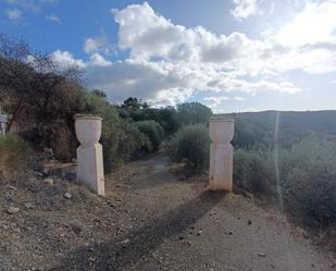 Vista exterior de Terreny en venda en Salares