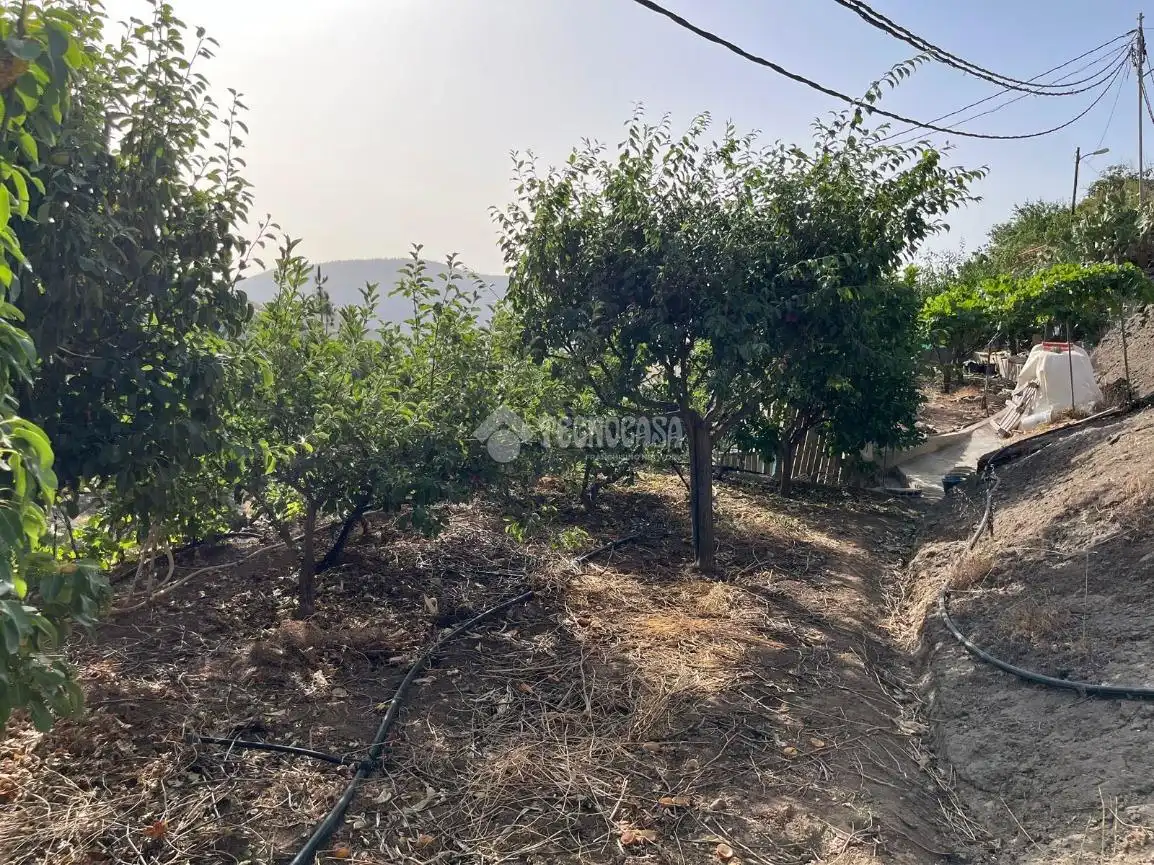 Casa o xalet en venda en Artenara