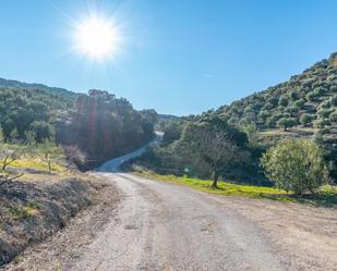 Exterior view of Land for sale in Alcaudete