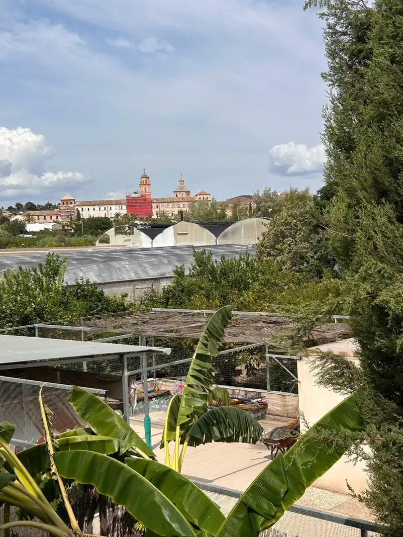 Villa zum Verkauf in Pedanías Oeste, imagen 33