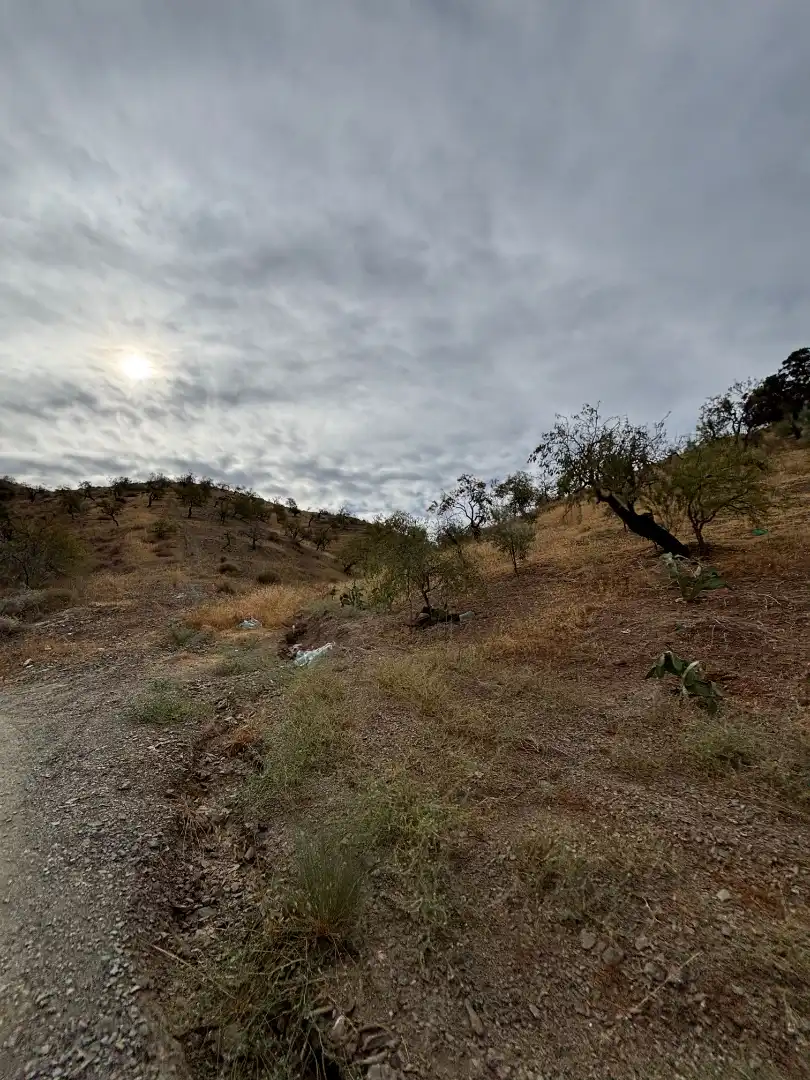Terreno en venta en Almogía