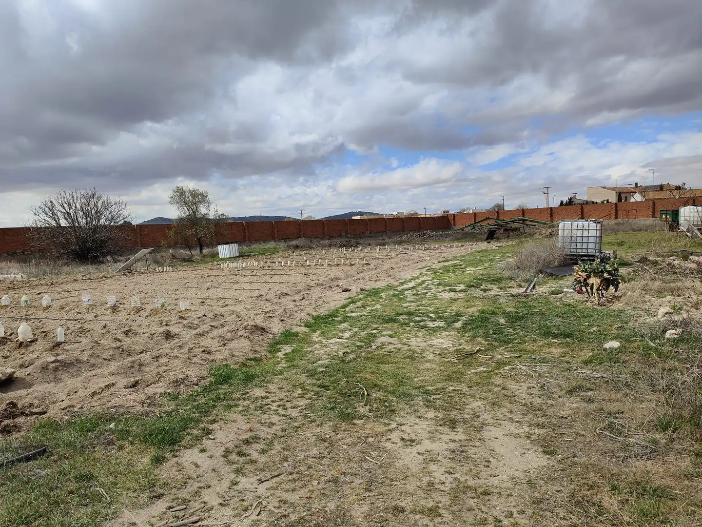 Lands and plots for sale in Corral de Almaguer, imagen 4