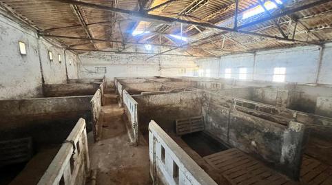 Foto 3 de Finca rústica en venda a Playa de Granada, Granada