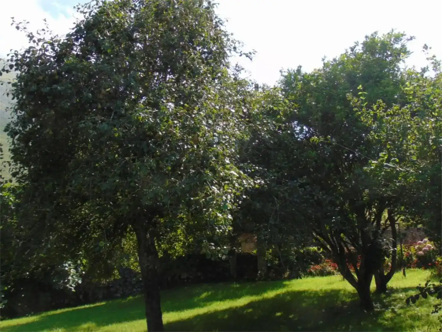 Casa o chalet en venta en Llanes con Balcón