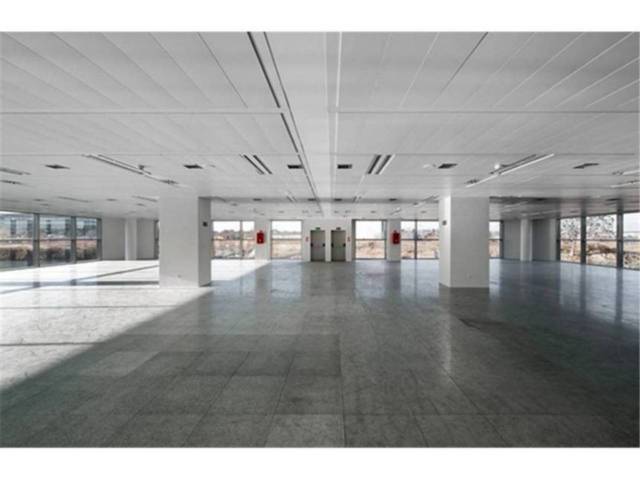 Oficina en Alquiler en Quintanapalla en Las Tablas