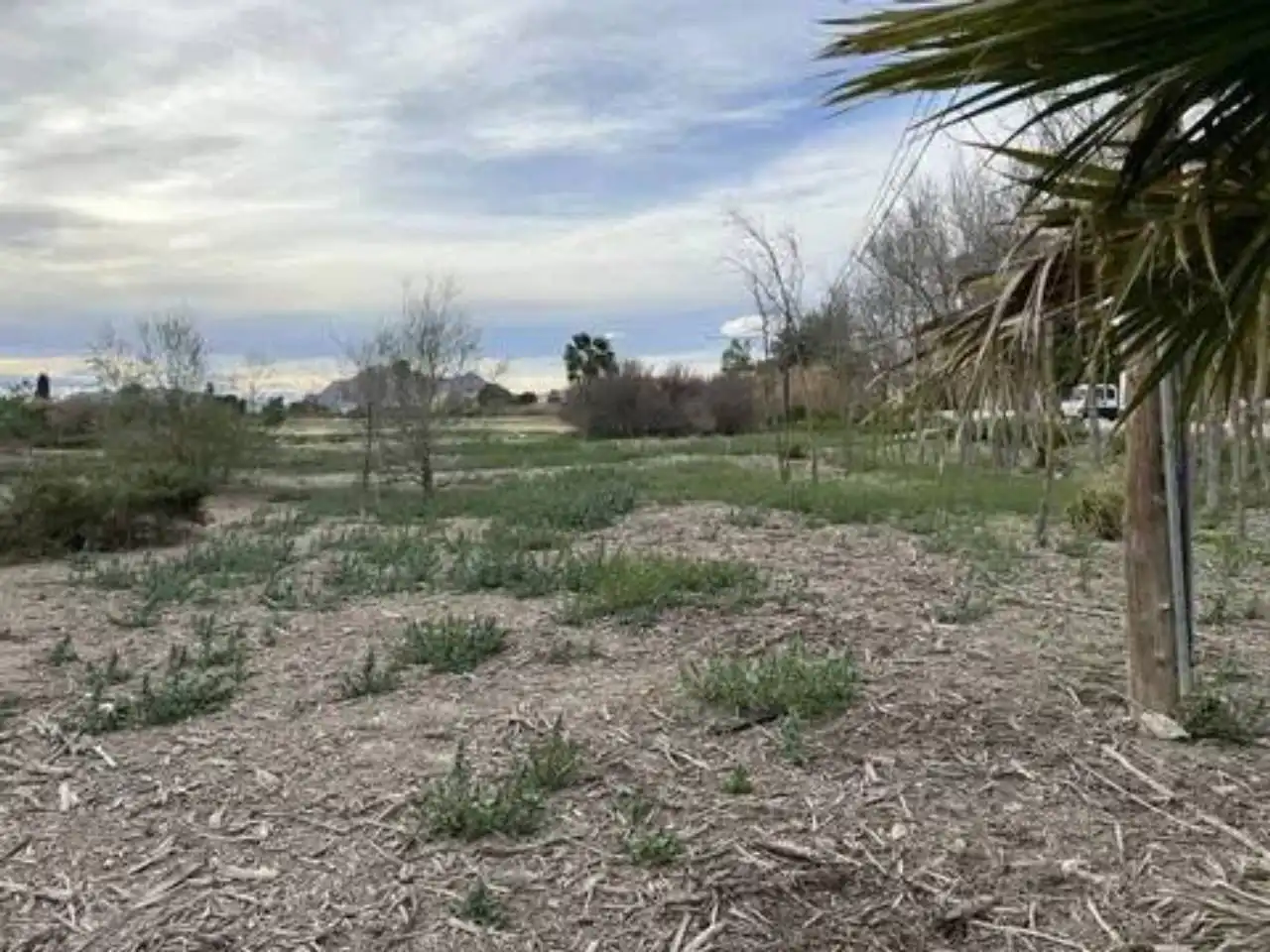 Terreno residenziale in vendita a Almoradí, imagen 9