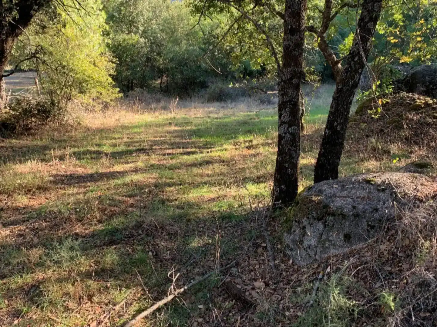 Finca rústica en venta en La Adrada 