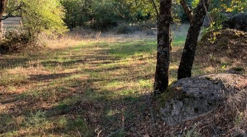 Foto 5 de Finca rústica en venta en Urbanización Tiétar Park, 10, La Adrada , Ávila