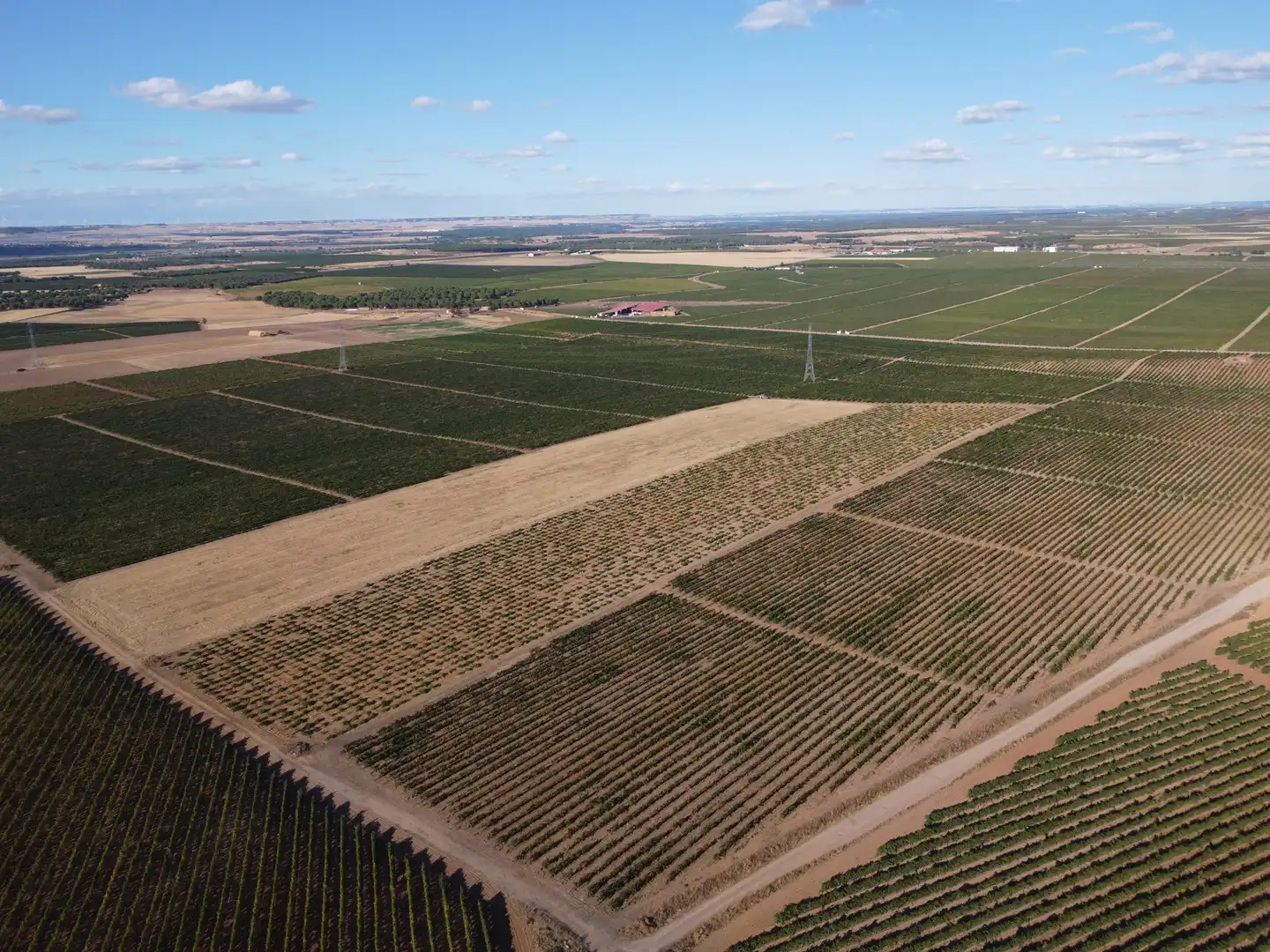 Terreno rustico in vendita a Rueda, imagen 7