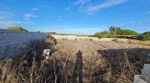 Foto 2 de Terreno en venta en Camino Molino de Cafe, La Soledad, Chiclana de la Frontera