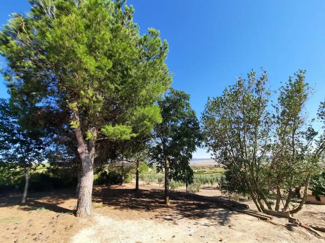 Xalet amb piscina en venda a Almansa, imagen 45