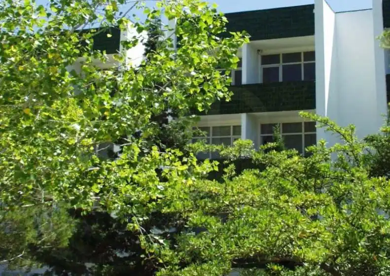 Exterior view of Buildings for sale in Canyelles