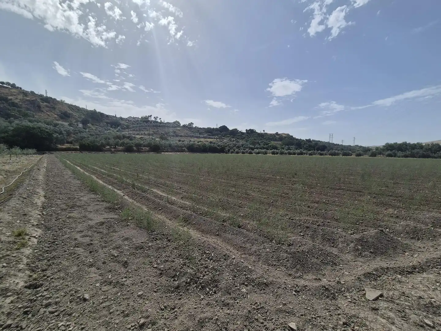 Terrain résidentiel à vendre à Loja, imagen 5