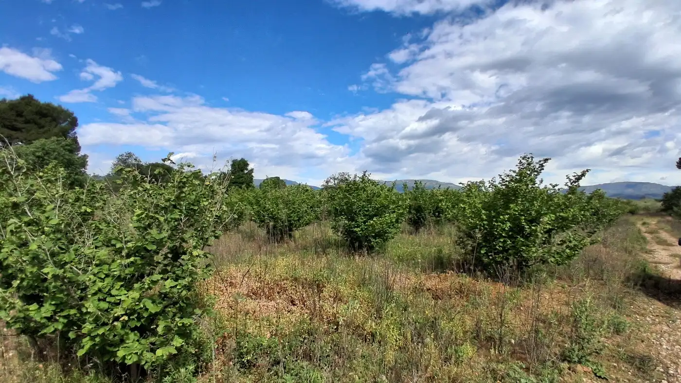 Terreno en venta en El Milà