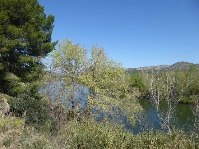 Finca rústica en venta en Xerta