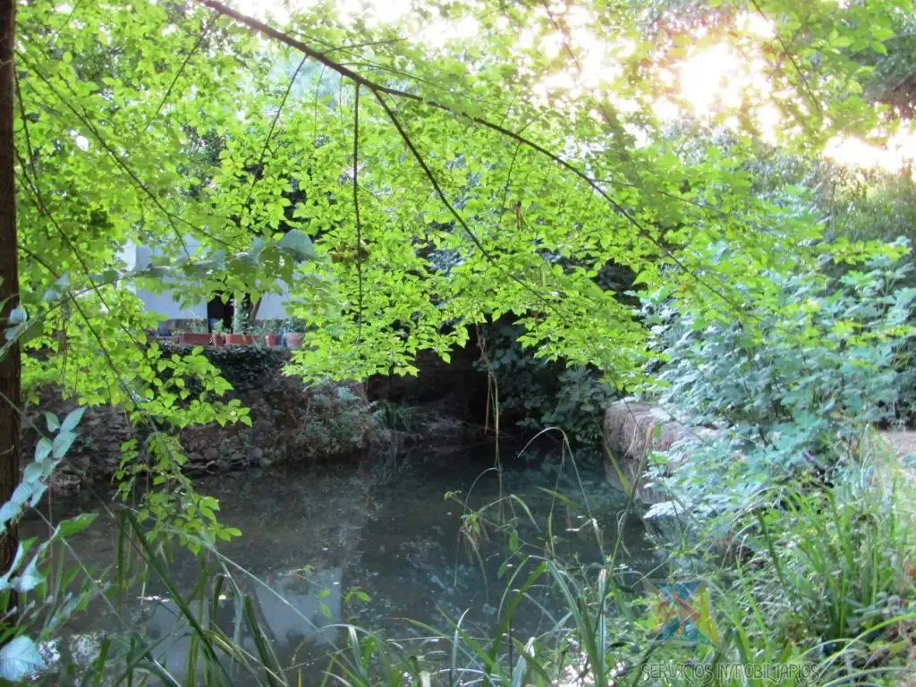 Jardí de Casa o xalet en venda en Aracena