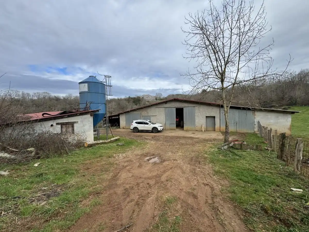 Nau industrial en venda en Onís