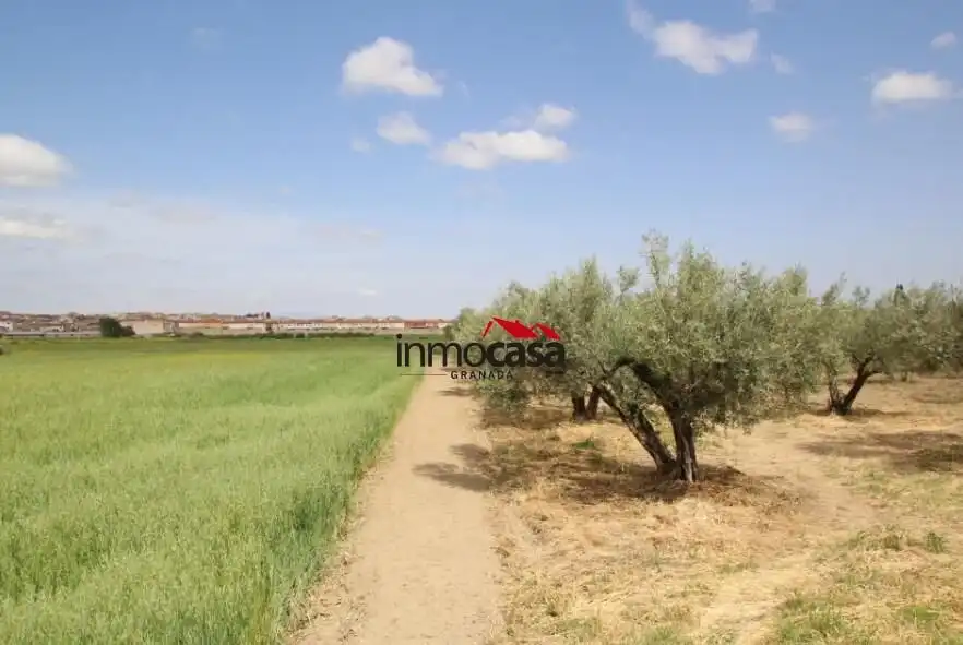 Rustikales Grundstück zum Verkauf in Camino Polígono 3 Paraje 65 TEJARES, imagen 16