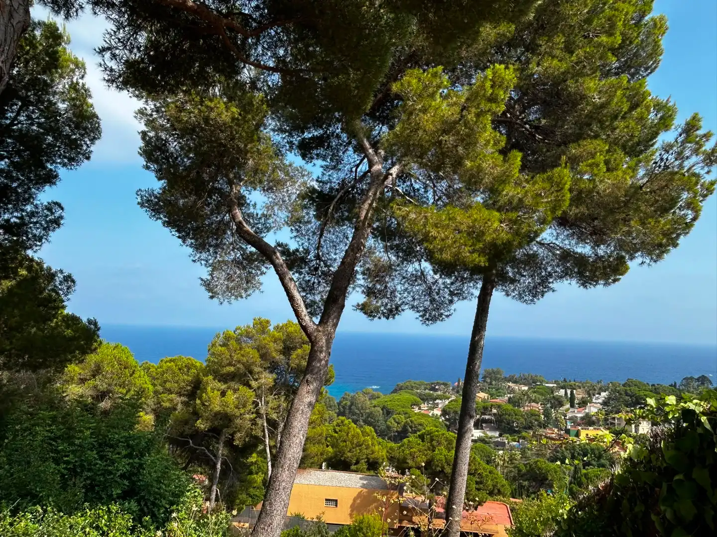 Vista exterior de Residencial en venda en Blanes