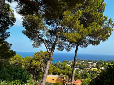 Terreny residencial en venda a Santa Cristina - Sant Francesc