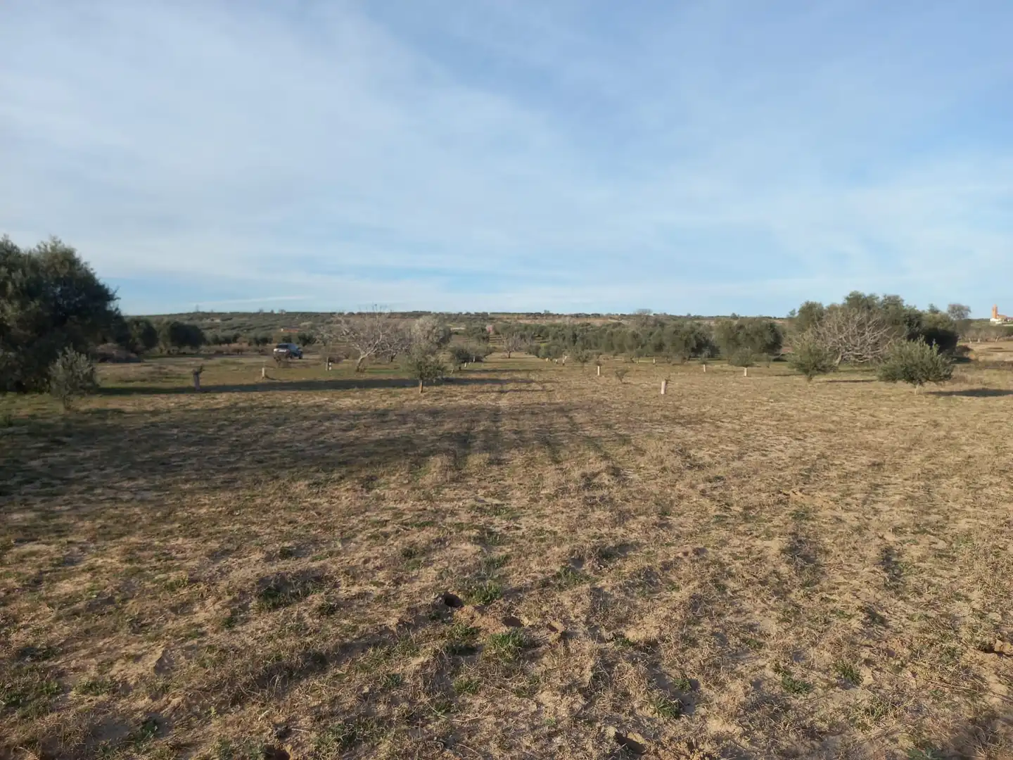 Rural land for sale in Cebolla, imagen 9