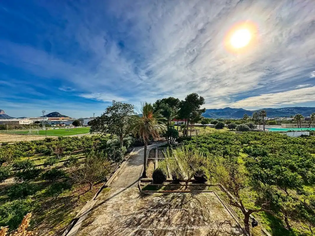 Jardí de Casa o xalet en venda en Beniarbeig amb Jardí privat, Terrassa i Traster