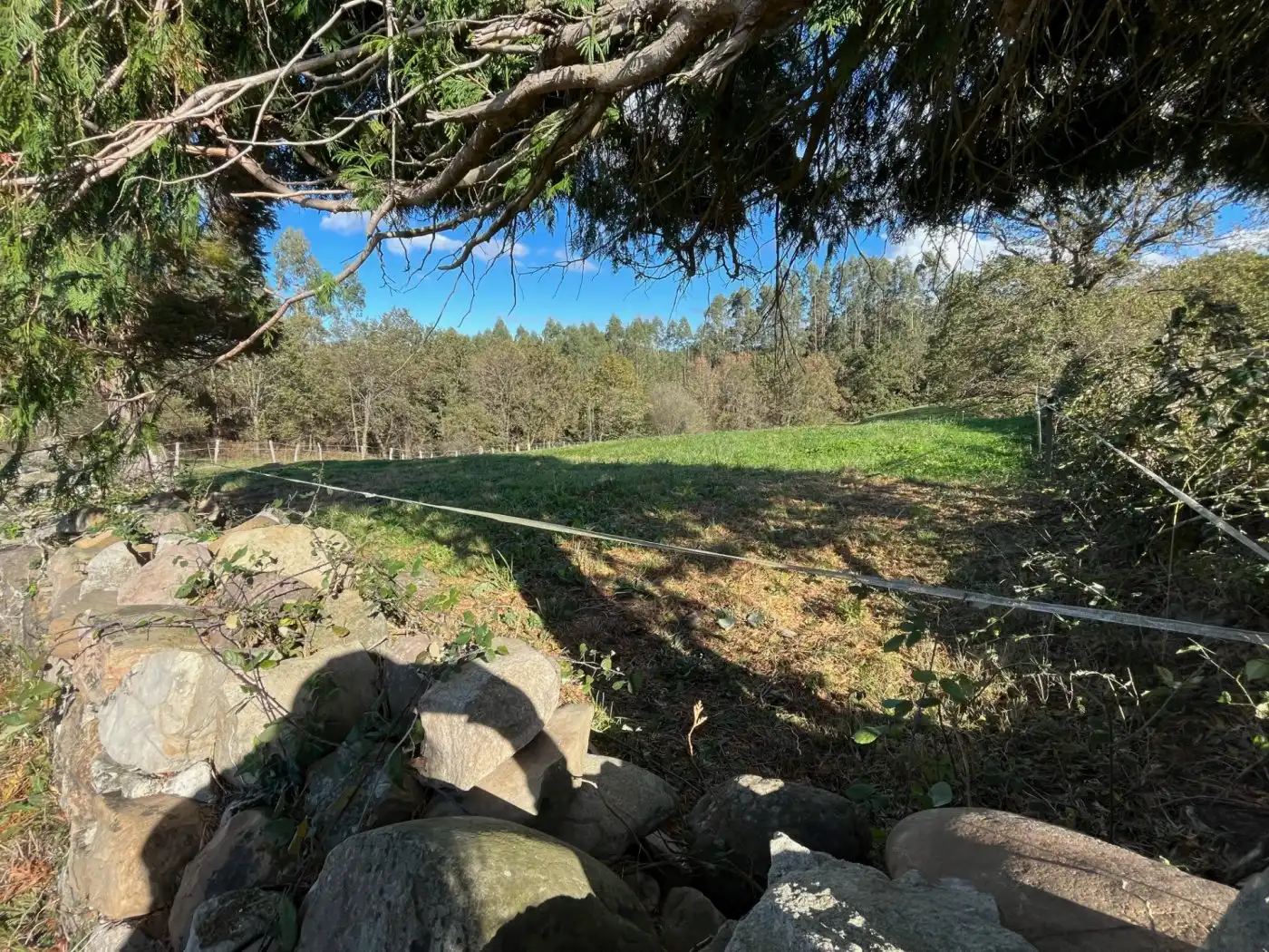Rural land for sale in Mazcuerras, imagen 2