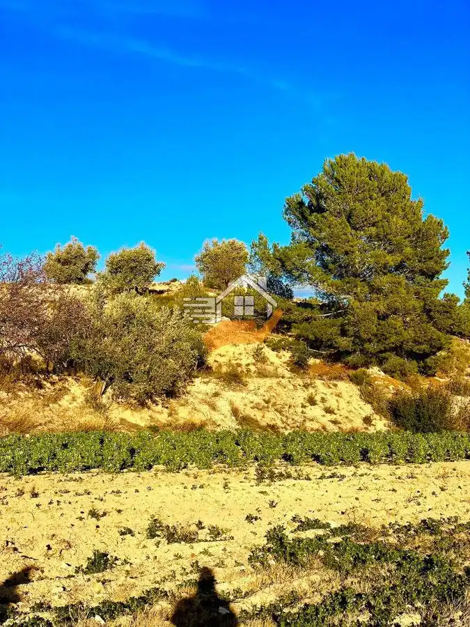Residential land for sale in Vélez-Rubio, imagen 16