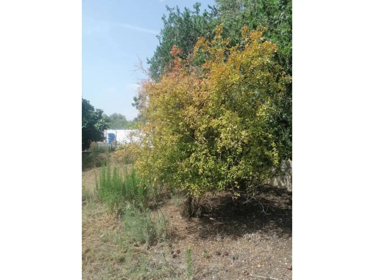 Casa o xalet en venda en Dos Hermanas amb Jardí privat, Terrassa i Piscina
