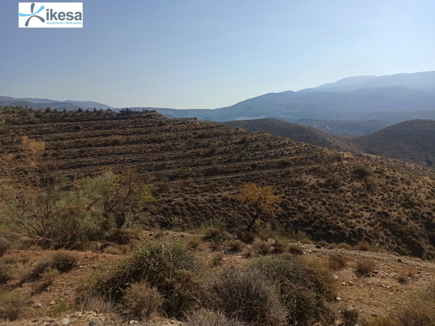 Finca rústica en venta en Ugíjar