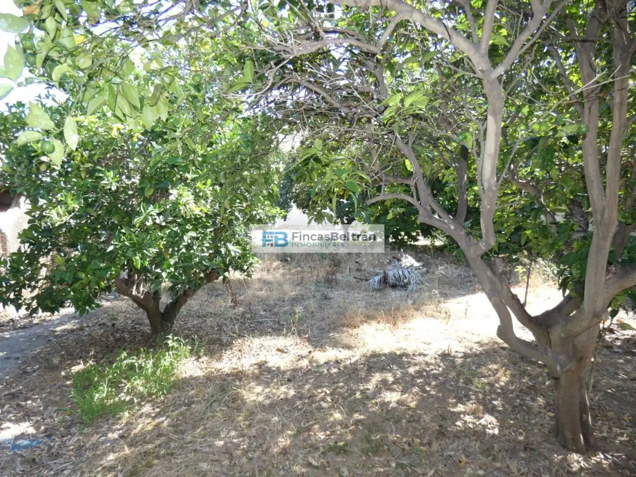 Finca rústica en venda en Benicarló amb Jardí privat i Terrassa