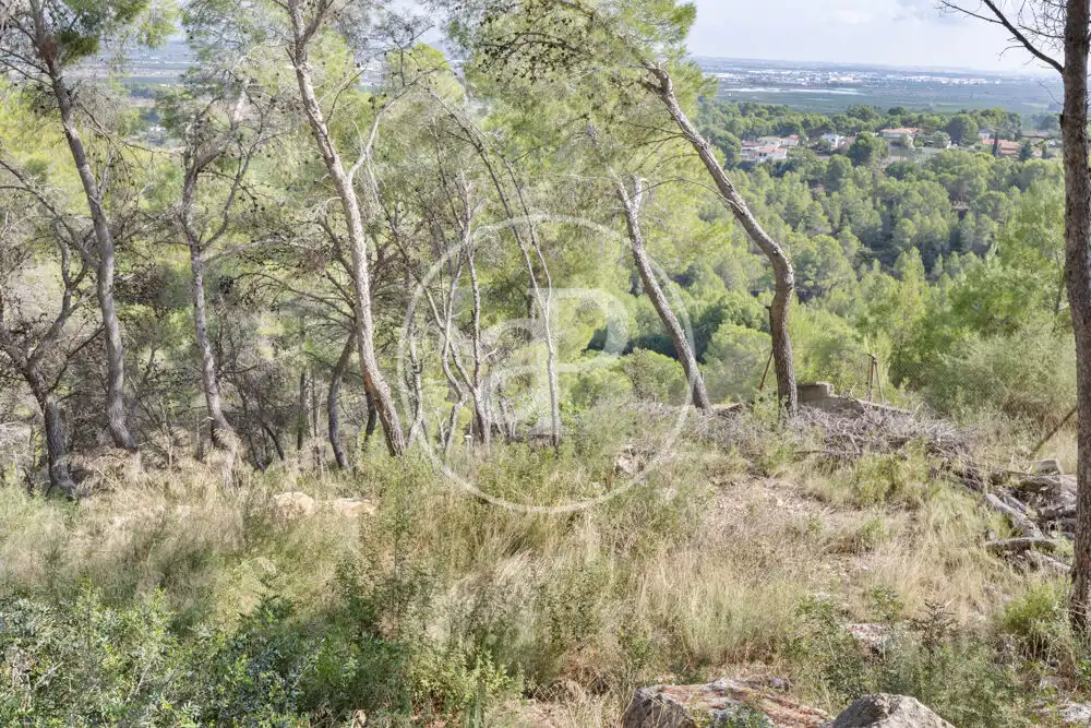 Terreno residenziale in vendita a El Bosque, imagen 11