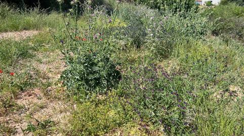 Foto 3 de Residencial en venda a Ca n'Alzamora, Barcelona