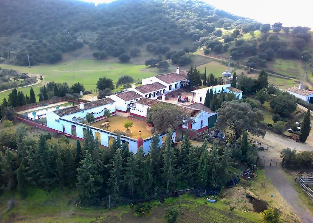 Vista exterior de Finca rústica en venda en Coripe amb Jardí privat, Terrassa i Piscina comunitària