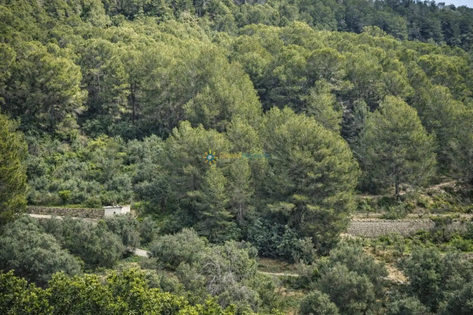 Casa o xalet en venda en Alfauir amb Jardí privat, Terrassa i Forn
