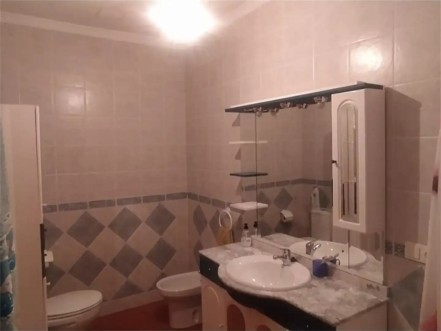 Baño de Casa adosada en venta en Huéneja, Granada