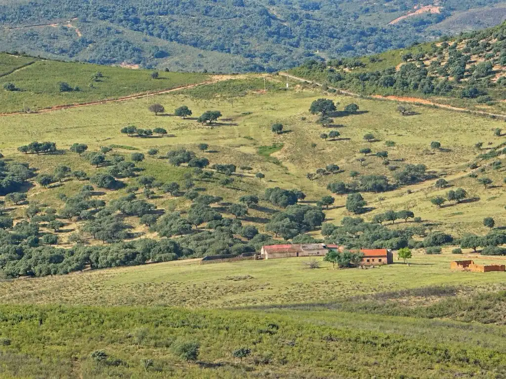 Casa en venta en Poligono 3 Paraje 94 Quejigoso, imagen 5