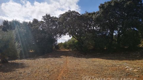 Foto 2 de Casa o chalet en venta en Partida Malara, Centro, Alhaurín El Grande