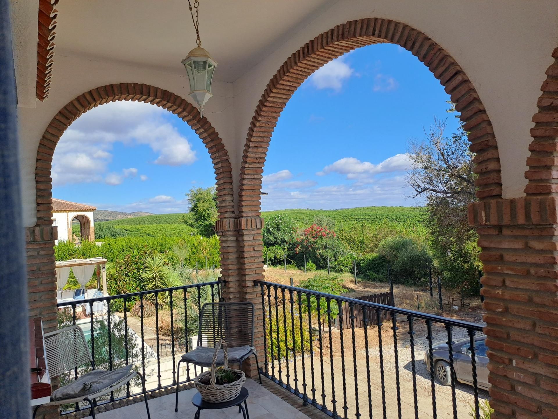 Garden of House or chalet for sale in Cantillana  with Air Conditioner, Heating and Private garden