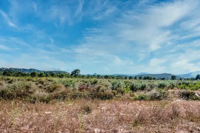 Rustikales Grundstück zum Verkauf in Paraje Fuente del Peral y Rincón del Majariego, Plg 6-7, imagen 13