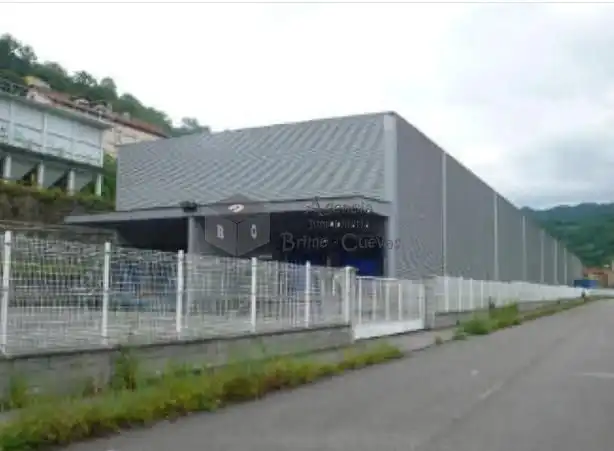 Vista exterior de Nave industrial en venta en Mieres (Asturias)