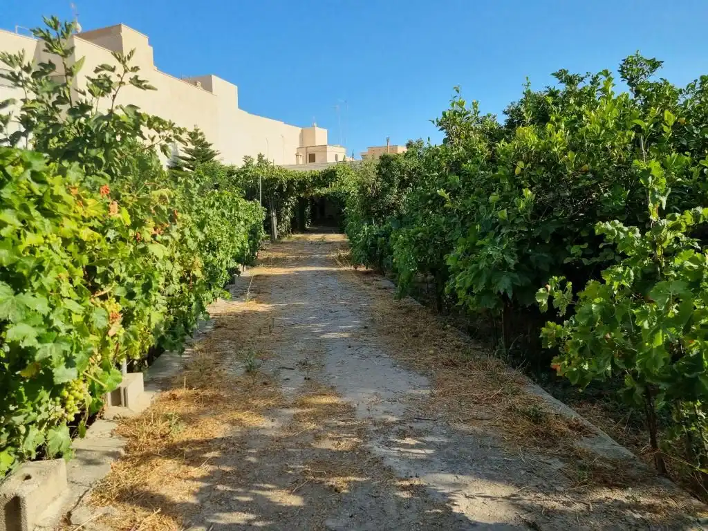 Casa o chalet en venta en Alhama de Almería con Jardín privado, Terraza y Piscina