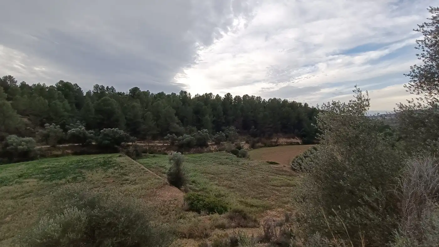 Terreno en venta en Móra la Nova