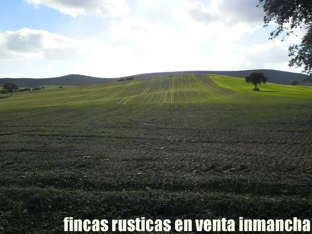 Terreny rústic en venda a Viso del Marqués, imagen 3