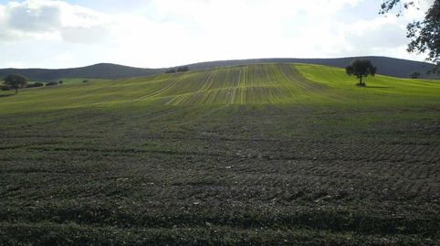 finca en venta labor secano en Ciudad Real, immagine 3