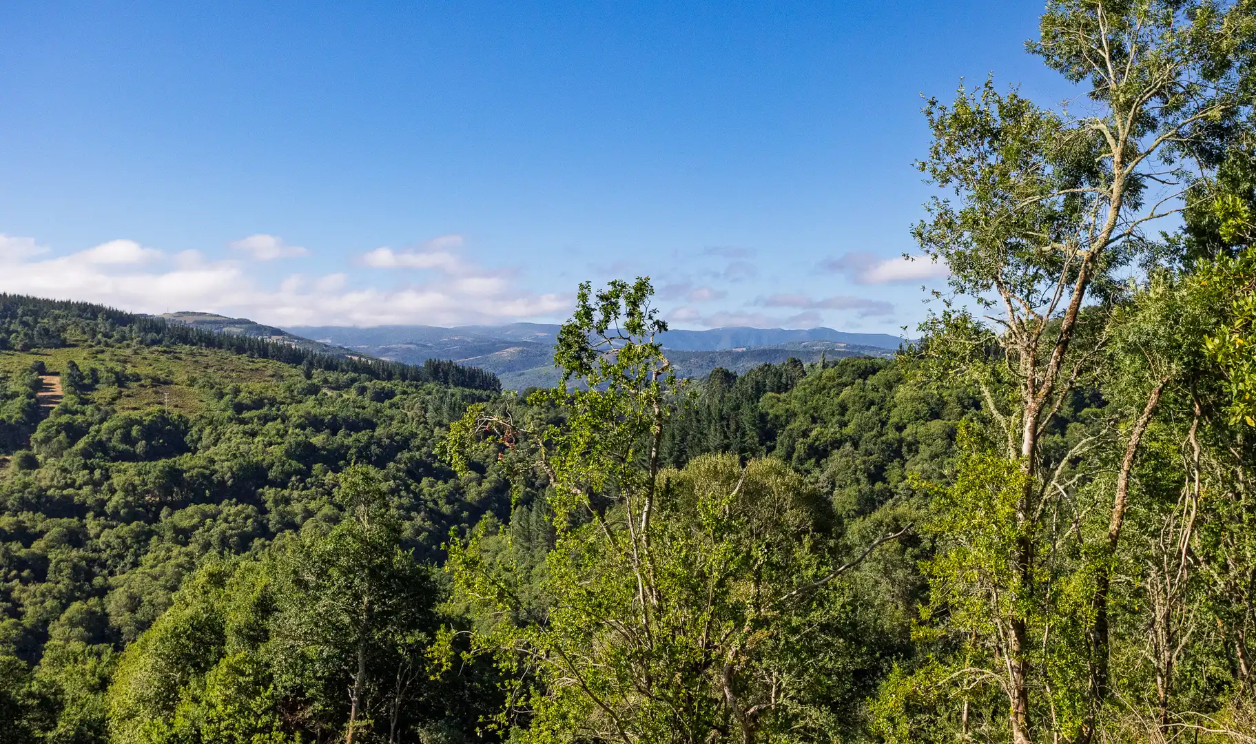 Vista exterior de Finca rústica en venda en Becerreá